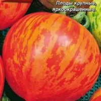 Купить Томат Амурский тигр