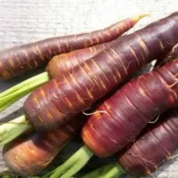 Купить семена Морковь Карамель с начинкой