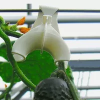 Купить Держатель для кистей вьющихся растений