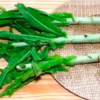 Купить Салат спаржевый Светлана