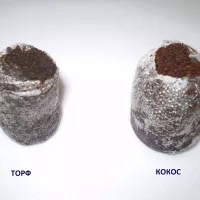 Купить Кокосовые таблетки Jiffy 45 мм