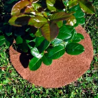 Материал от сорняков приствольный Listok для томатов, перцев, клубники