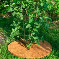 Материал от сорняков приствольный Listok для роз, хвойных, кустарников и деревьев