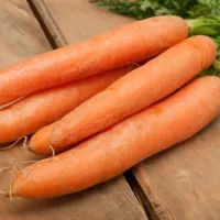 Купить семена Морковь Нандрин F1