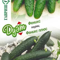 купить семена Огурец Феникс + Феникс плюс, Дуэт, салатный