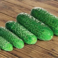 купить семена Огурец Лист F1