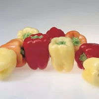 купить семена Перец сладкий Фламинго F1