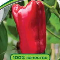 Купить семена Перец сладкий Лакшери F1