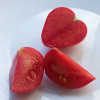 купить семена Томат Розовый спам F1