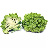 купить семена Капусту Романеско