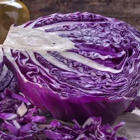 купить семена Капуста краснокочанная  Колобок Рубиновый