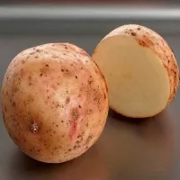 Купить семена Картофель Аврора
