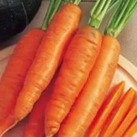 Купить семена Морковь Бангор