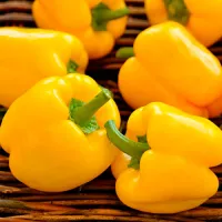 Купить семена Перец Калифорнийское чудо желтое