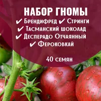 Купить Топ 5 популярных томатов Гномов
