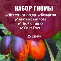 Купить Топ 5 томатов Гномов коллекционных