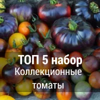 Купить Топ 5 лучших коллекционных томатов