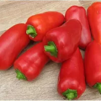 Купить семена Перец Ерошка