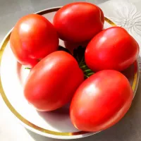 Купить семена Томат Кечкемети венгерские 549