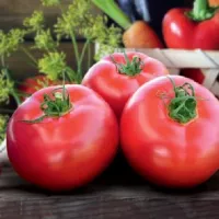 Купить семена Томат Самран