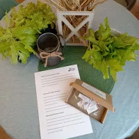 Купить Топ 5 лучших коллекционных томатов