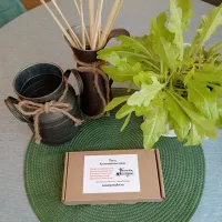 Купить Топ 5 лучших коллекционных томатов