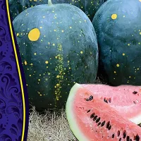 Купить семена Арбуза Луна и Звезды розовый