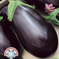 Купить семена баклажана Вороной
