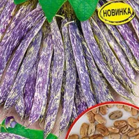 Купить семена Фасоль Мраморная овощная