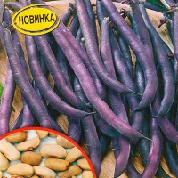 Купить семена Фасоль спаржевая вьющаяся Подружка овощная