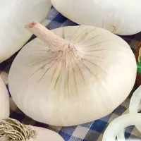 Купить Лук Ялтинский белый местный