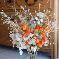 Купить семена Лунария Серебряные монеты