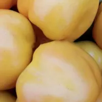 Купить семена Перец сладкий Гогошар (Гранат) желтый