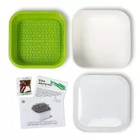 Купить Проращиватель Для Микрозелени