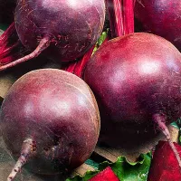 Купить семена Свекла столовая Нобол