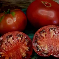 Купить семена Томат Черная Магия