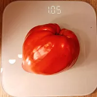 Купить семена Томат Древнее сердце Акви