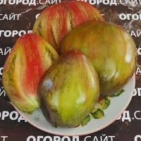 Купить семена томата Изумрудная карамель Елены