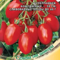 Купить семена томата Комнатный сюрприз
