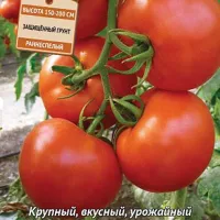 Купить семена Томатf Океан F1