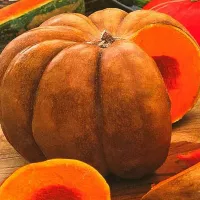 Купить семена Тыквы мускатной Большой шлем
