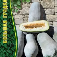 Купить семена Тыква (Бенинказа) восковая Ченьчжоу