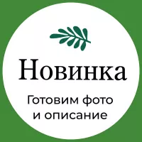 Купить семена Подвой Ферро F1 для томатов, баклажан, огурцов, арбузов Rijk Zwaan