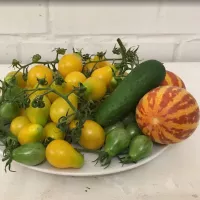 Купить семена Дыня Вьетнамская Подарок дедушки Хо ши мина