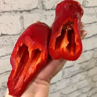 Купить семена Перец сладкий Гигантский Аконкагуа