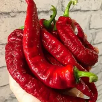 Купить семена Перец Джимми нарделло