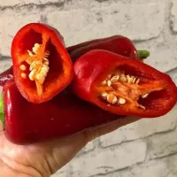 Купить семена Перец сладкий Китайская стена