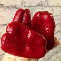 Купить семена Перец Нижегородец