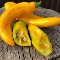Купить семена Перец Рамиро желтый