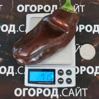 Купить семена Перец Карамель красная